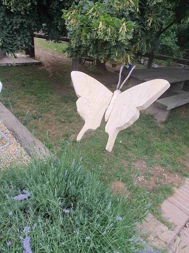 Swallowtail Butterfly