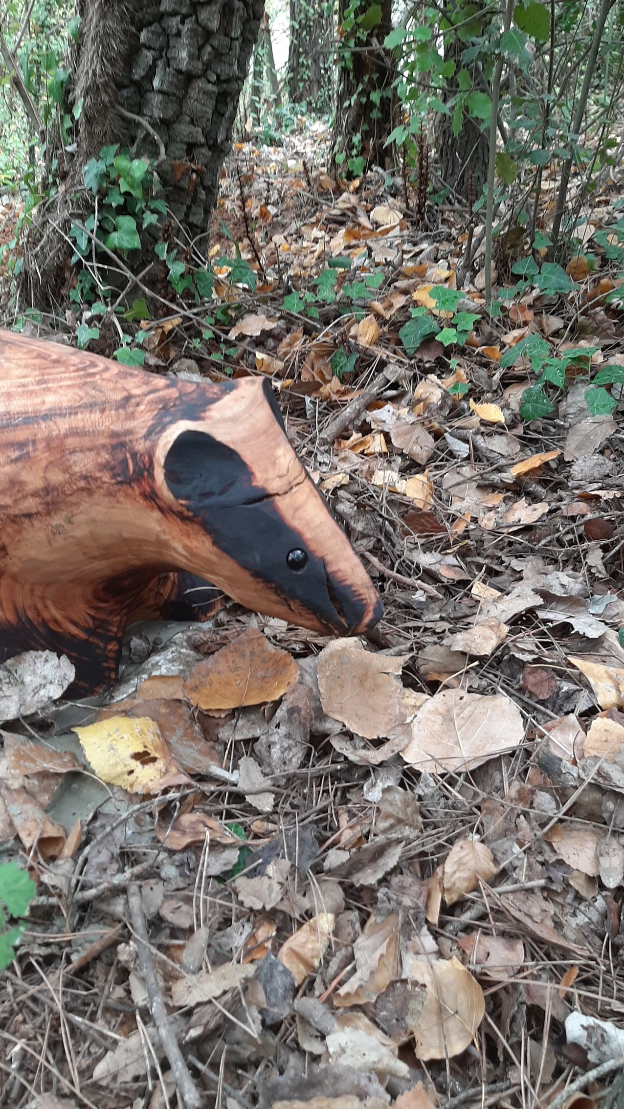 Badger