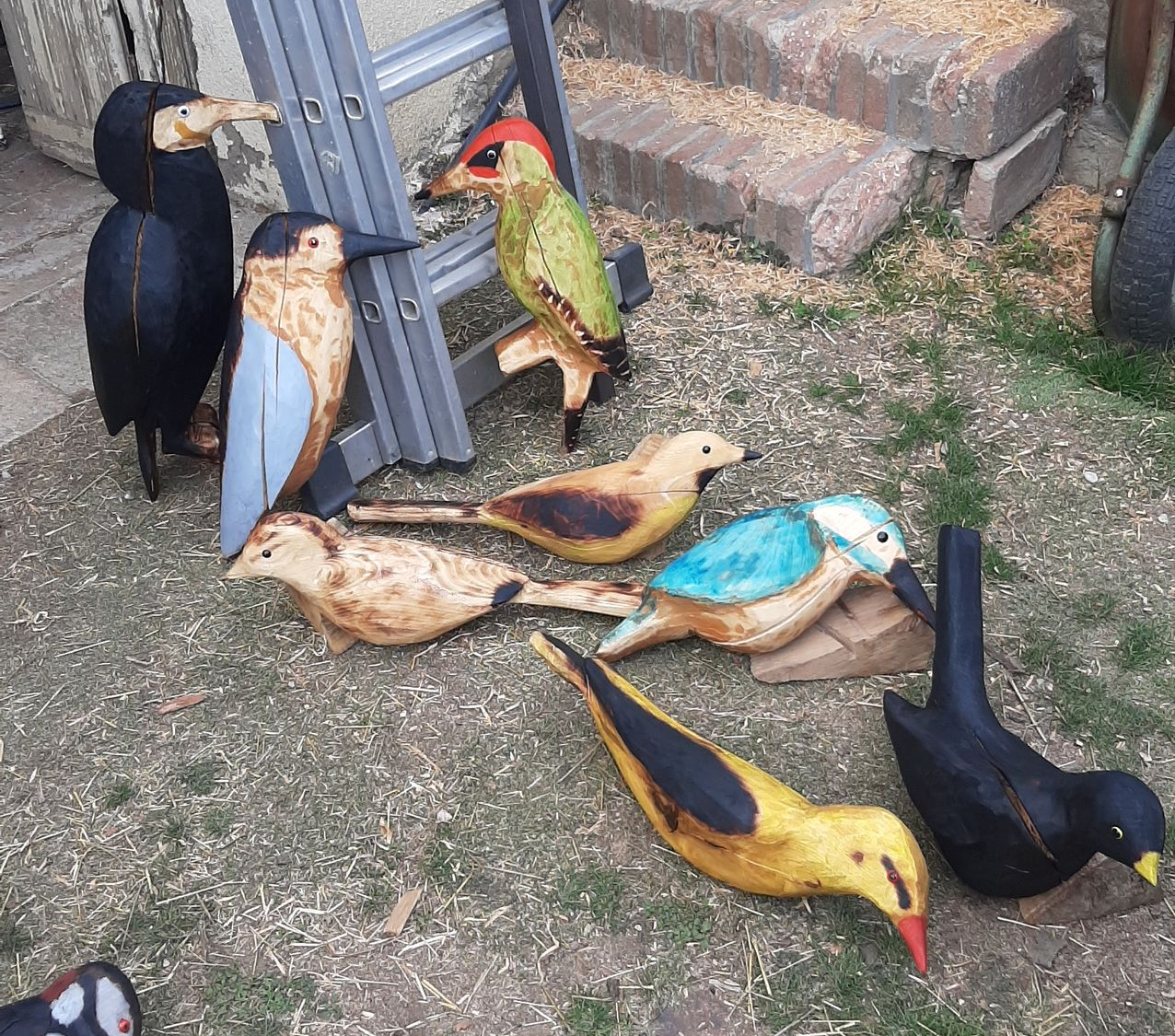 Local Birdlife