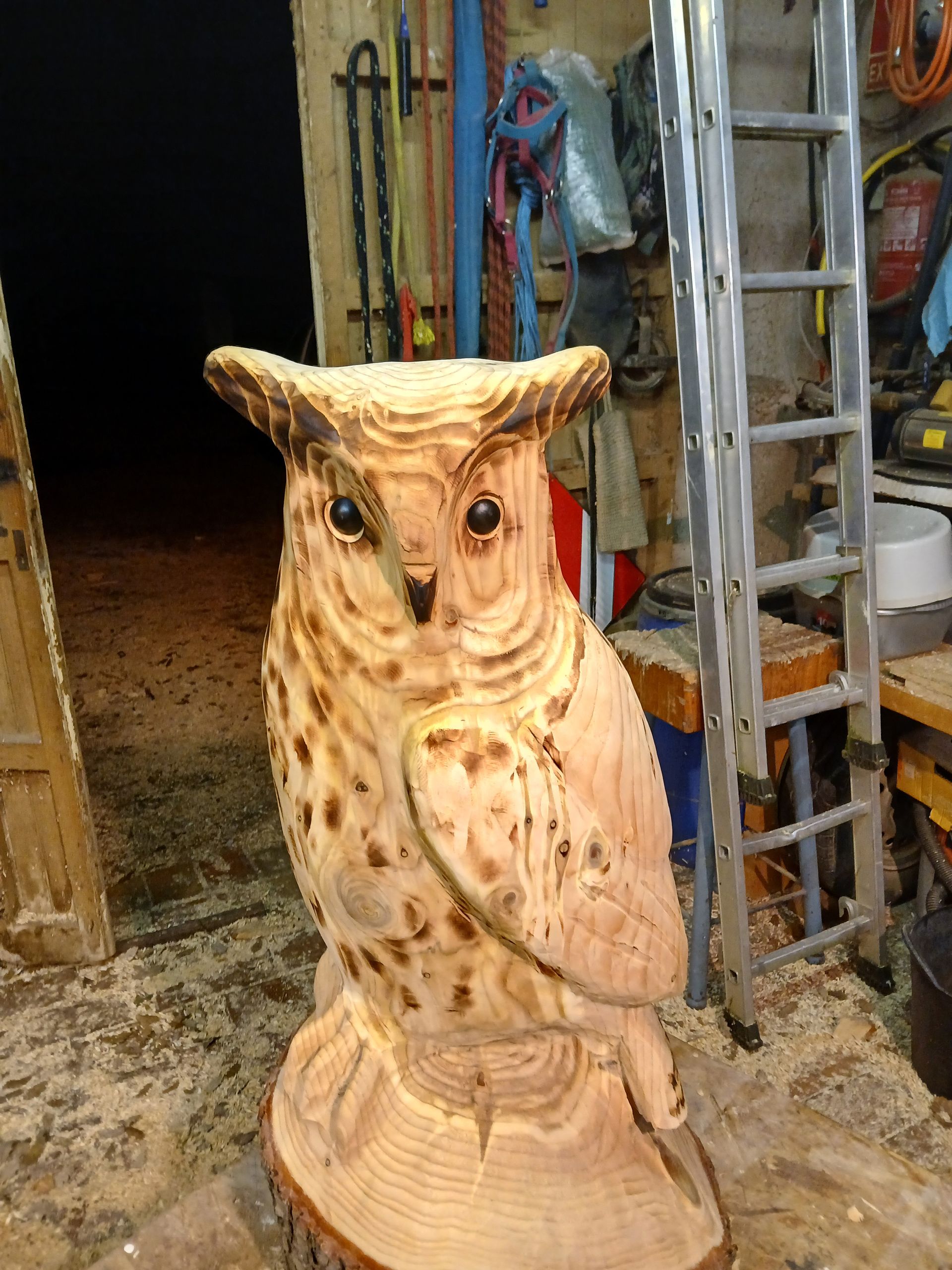 Owl