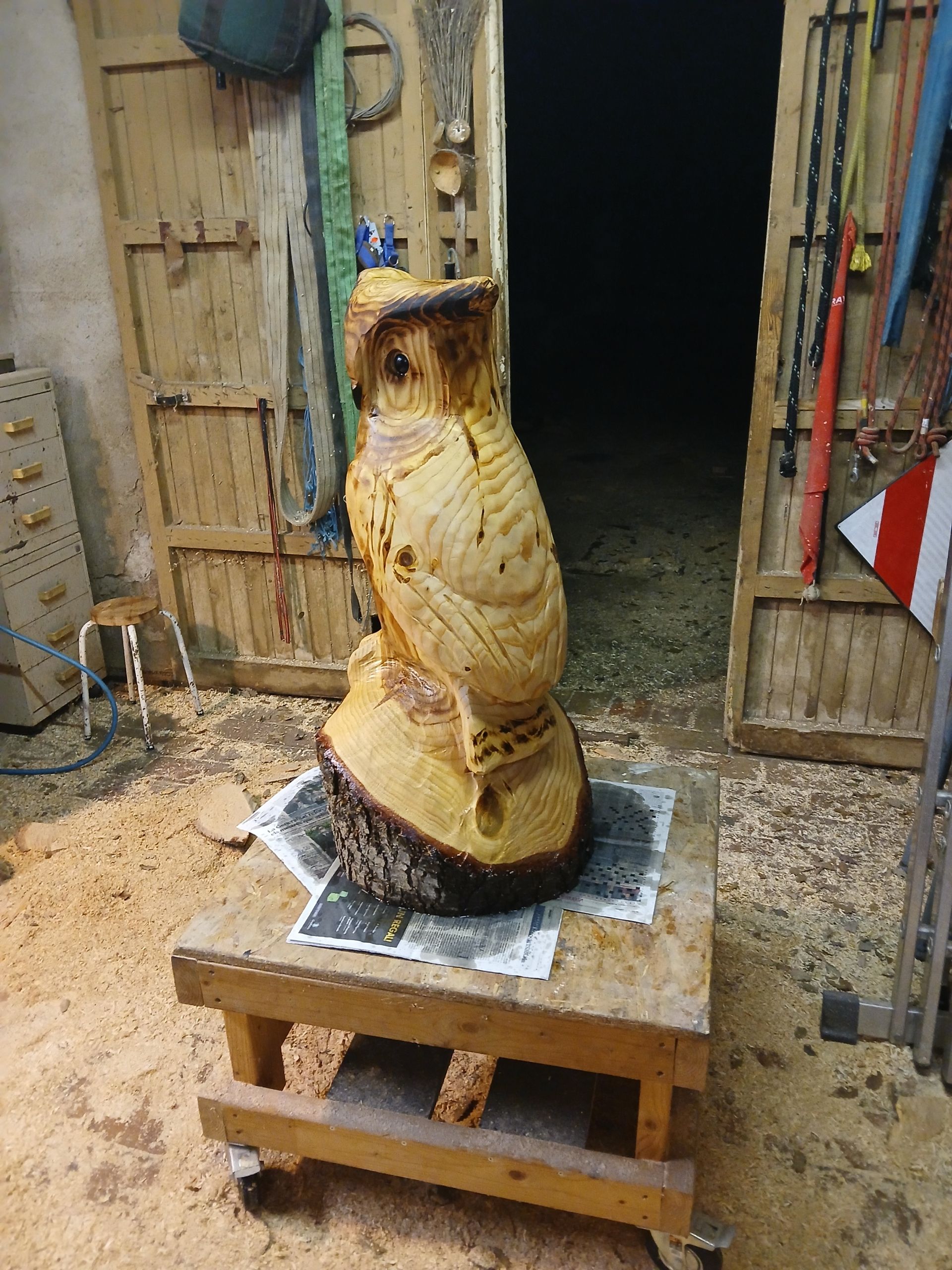 Owl