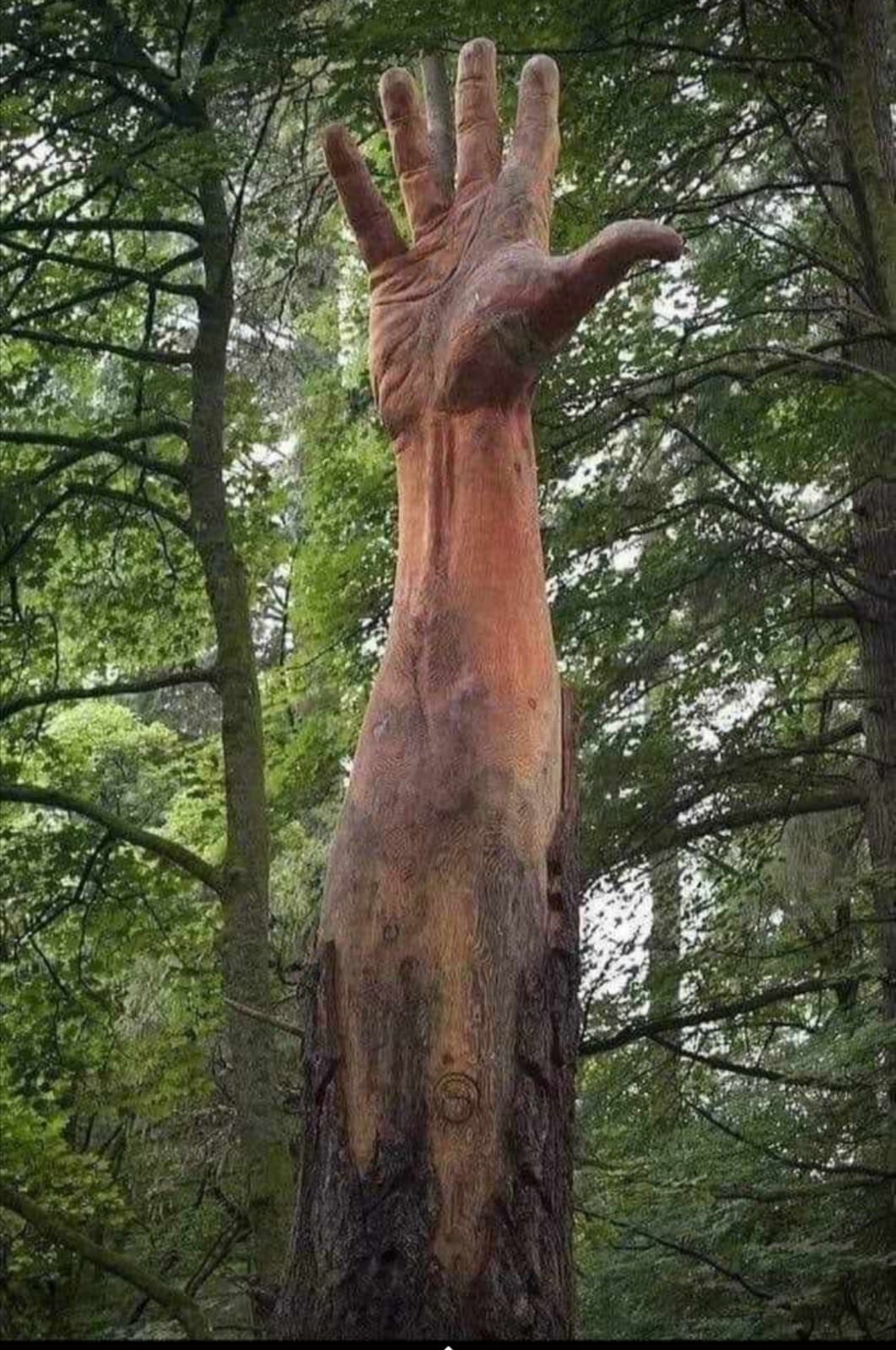 Giant Hand