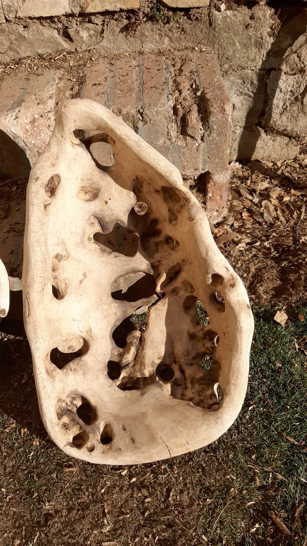 Oak Burl Bowl