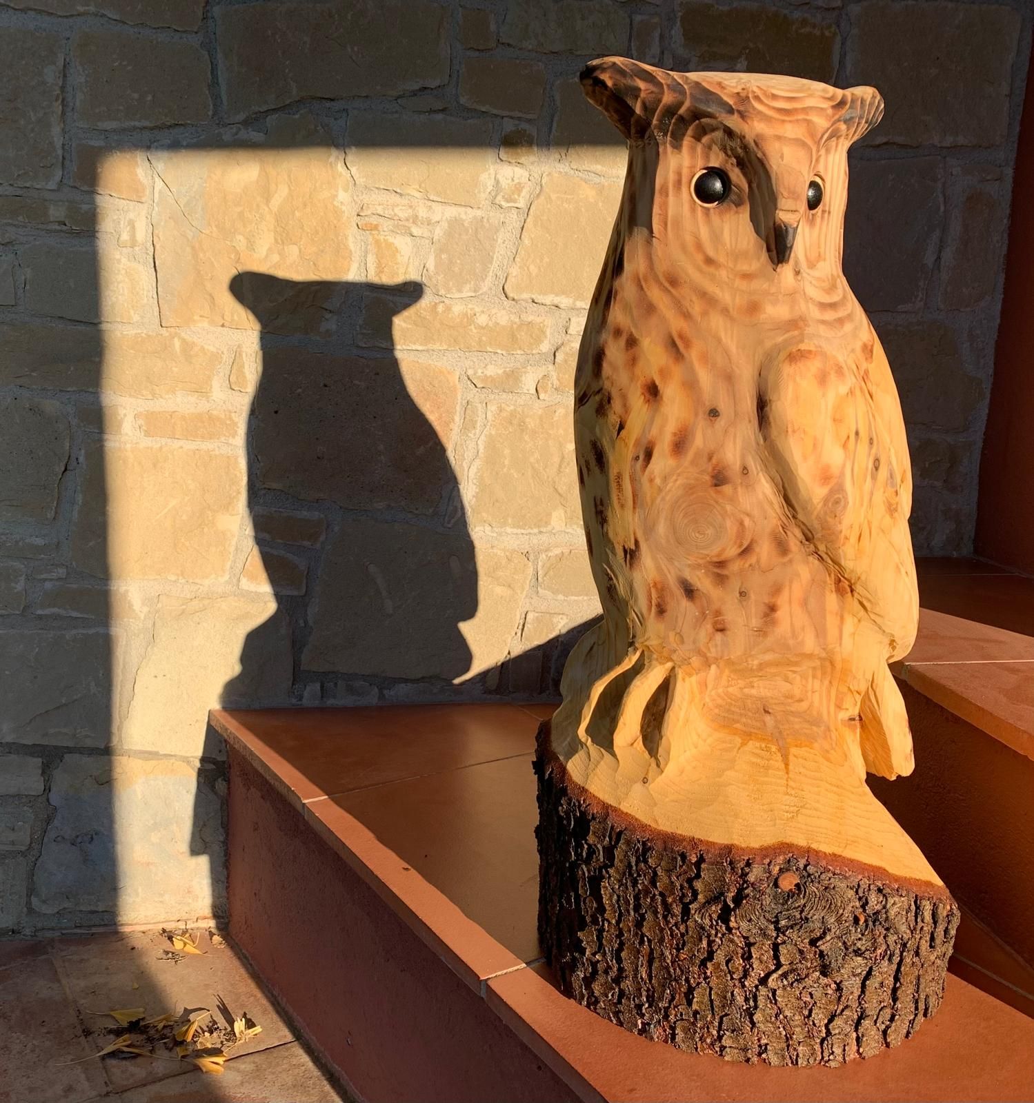 Owl